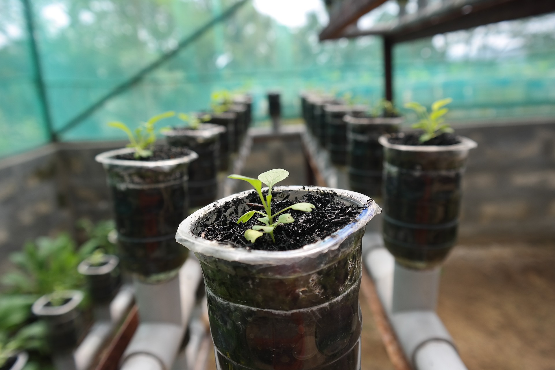 EcoFarm
